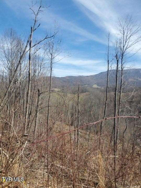 10.7 Acres of Land for Sale in Trade, Tennessee