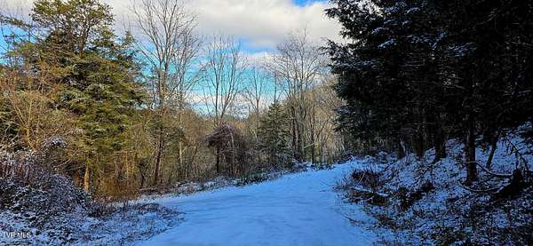 33.5 Acres of Land with Home for Sale in Watauga, Tennessee