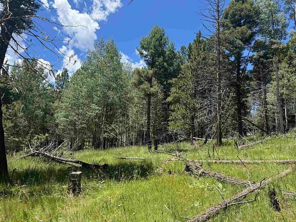 0.56 Acres of Residential Land for Sale in Angel Fire, New Mexico