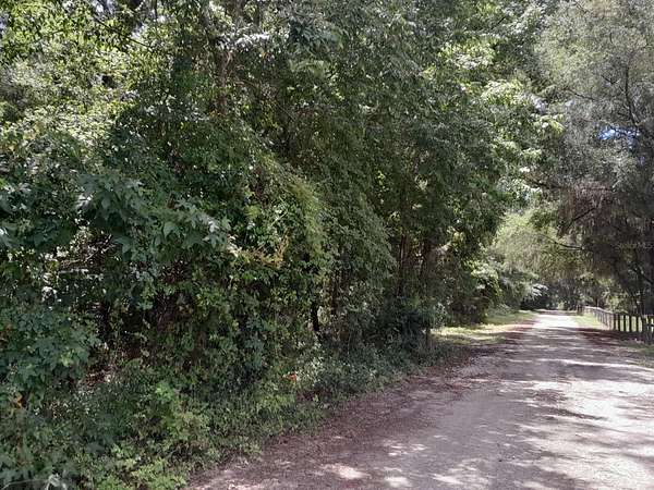 3 Acres of Residential Land for Sale in Reddick, Florida