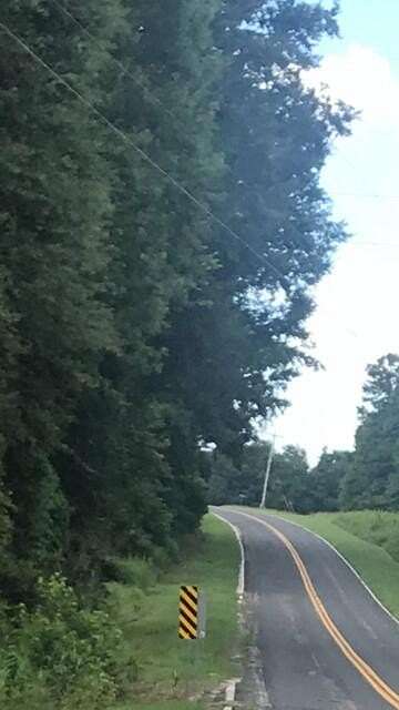 13.9 Acres of Land for Sale in Blackville, South Carolina