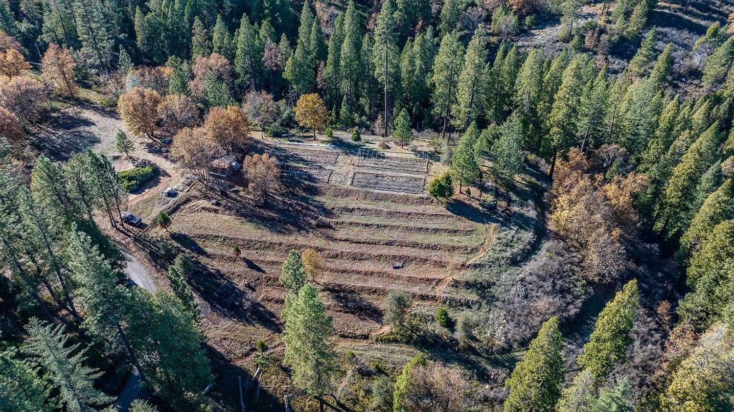 79.1 Acres of Agricultural Land for Sale in Rail Road Flat, California