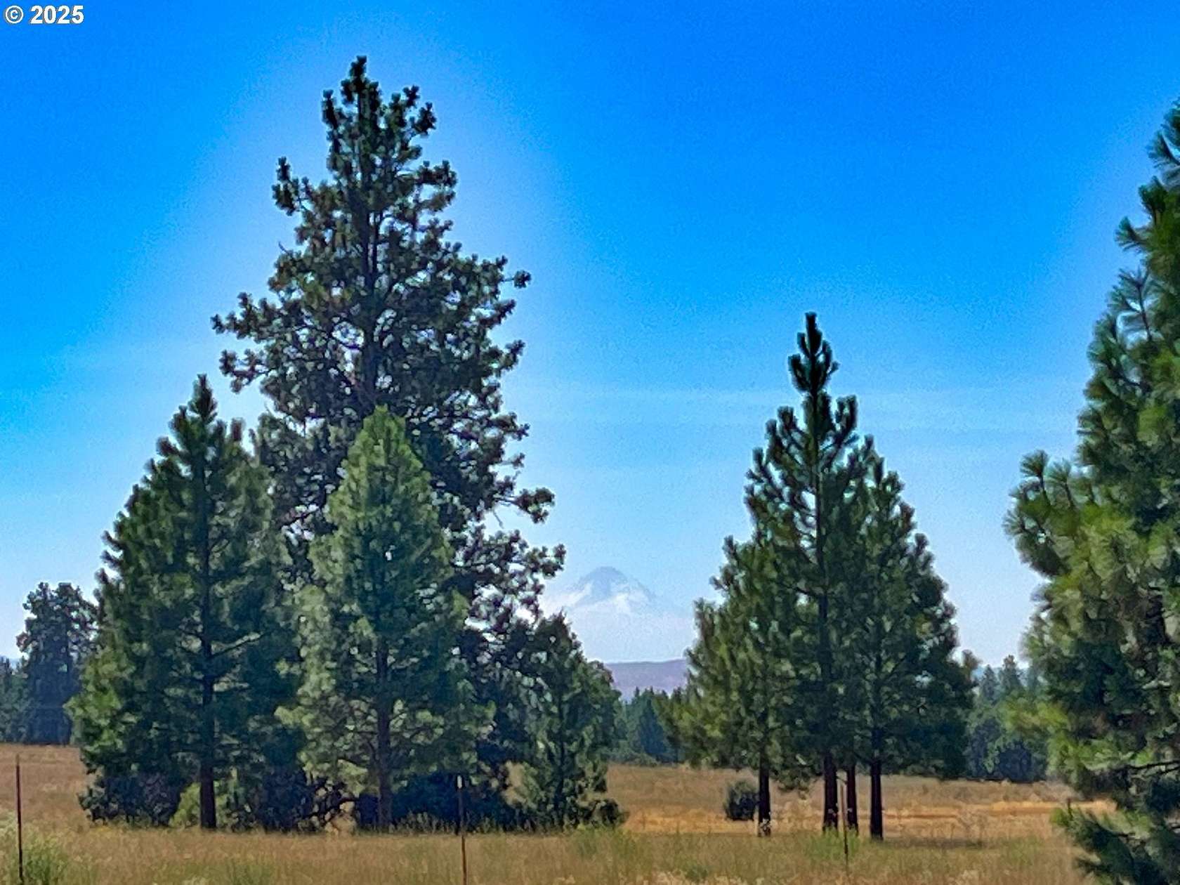 5 Acres of Land for Sale in Goldendale, Washington