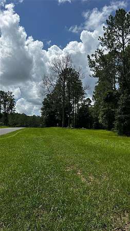 5 Acres of Land for Sale in Eustis, Florida
