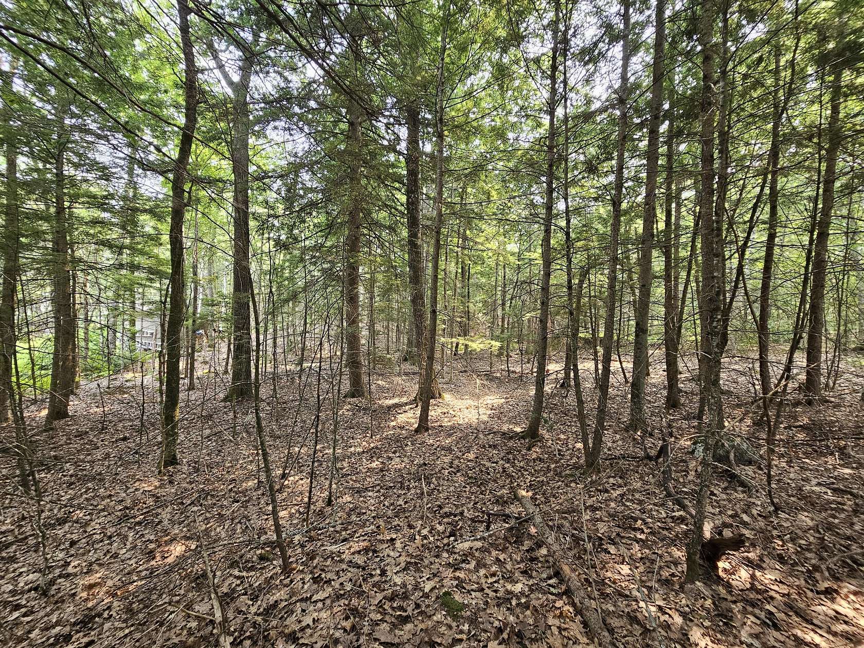 1.3 Acres of Land for Sale in Orono, Maine