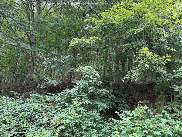 1.19 Acres of Residential Land for Sale in St. Albans, West Virginia