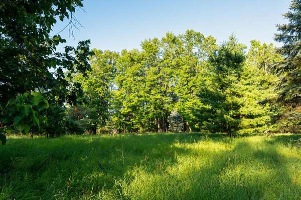 40 Acres of Recreational Land & Farm for Sale in Lachine, Michigan
