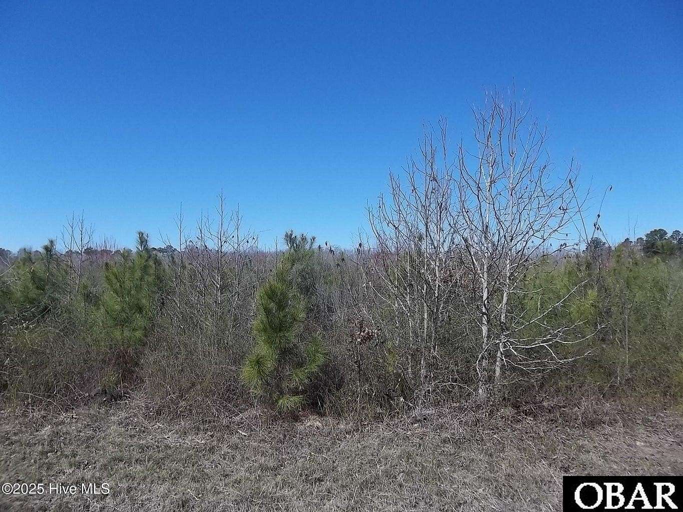 Residential Land for Sale in Hertford, North Carolina