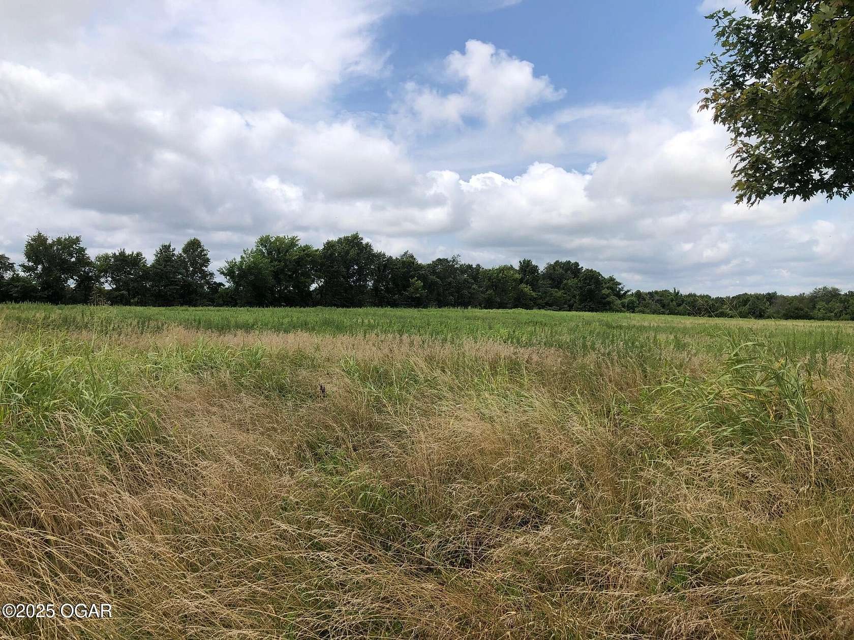 35 Acres of Land for Sale in Carl Junction, Missouri