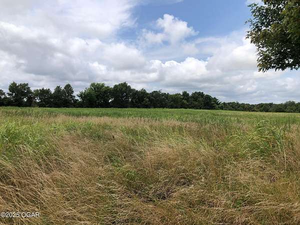 35 Acres of Land for Sale in Carl Junction, Missouri