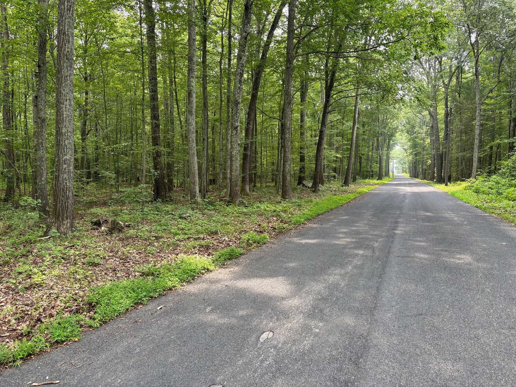 44.9 Acres of Land for Sale in Andover, Connecticut
