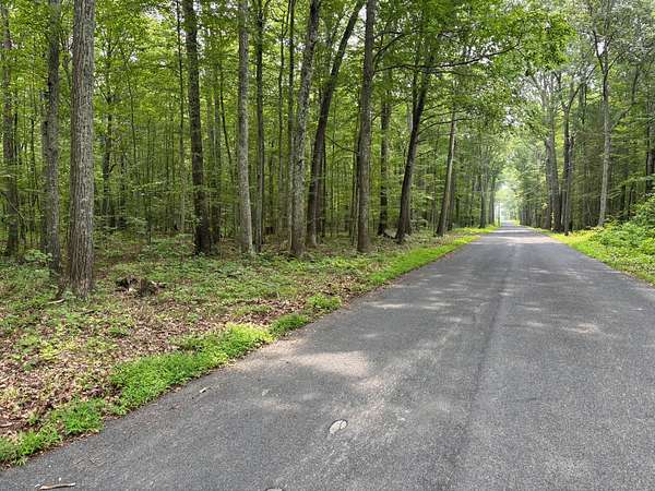 44.9 Acres of Land for Sale in Andover, Connecticut