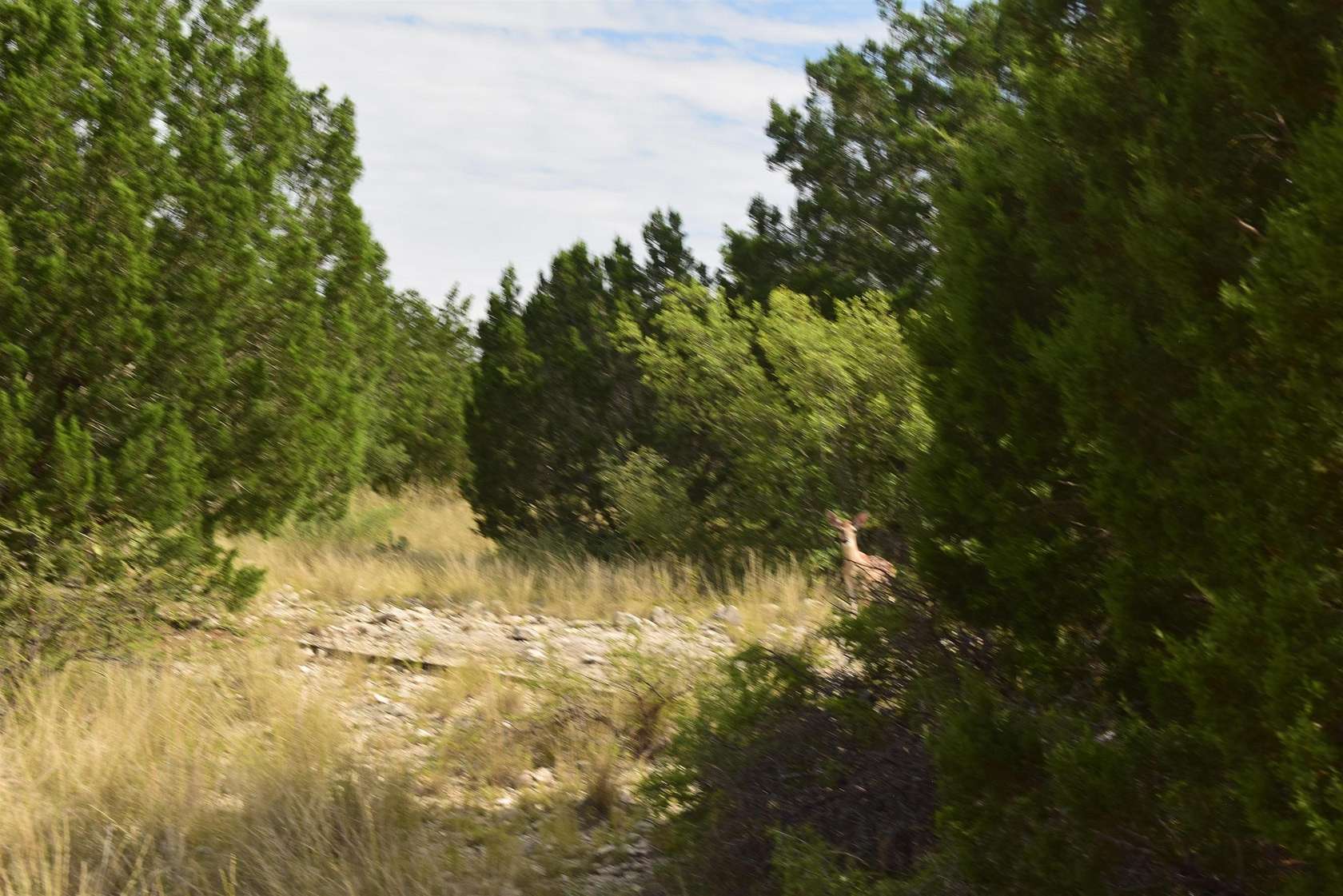 130 Acres of Recreational Land for Sale in Del Rio, Texas