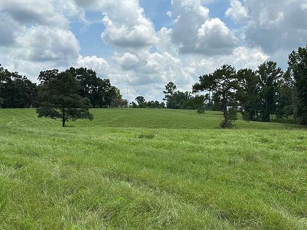 27 Acres of Land for Sale in Poplarville, Mississippi