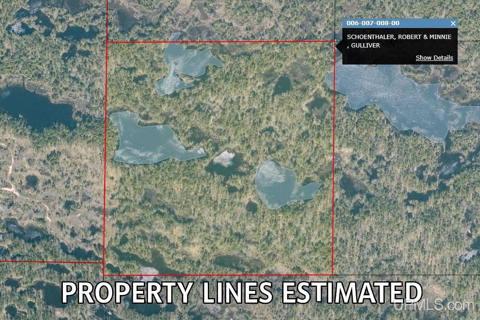 39.5 Acres of Recreational Land for Sale in Gulliver, Michigan