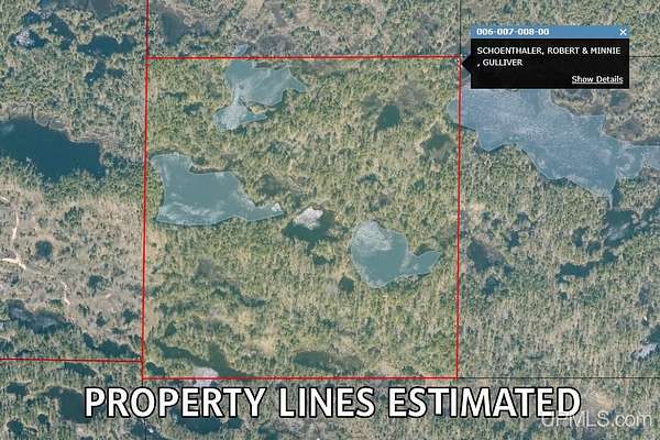 39.5 Acres of Recreational Land for Sale in Gulliver, Michigan