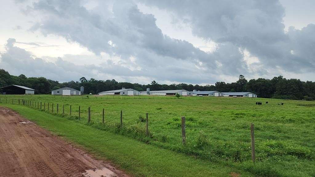 33 Acres of Improved Agricultural Land for Sale in Nacogdoches, Texas