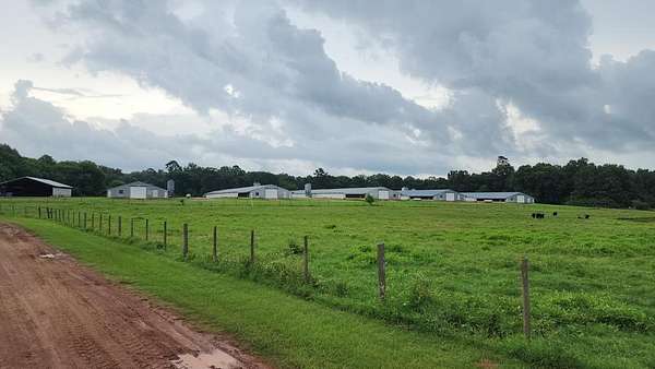 33 Acres of Improved Agricultural Land for Sale in Nacogdoches, Texas