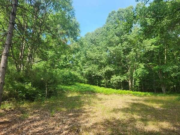 0.63 Acres of Land for Sale in Branch Township, Michigan