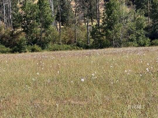 5 Acres of Residential Land for Sale in Chiloquin, Oregon