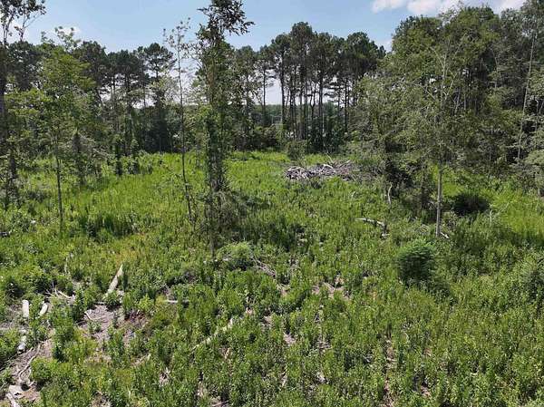 10 Acres of Recreational Land for Sale in Murfreesboro, Arkansas