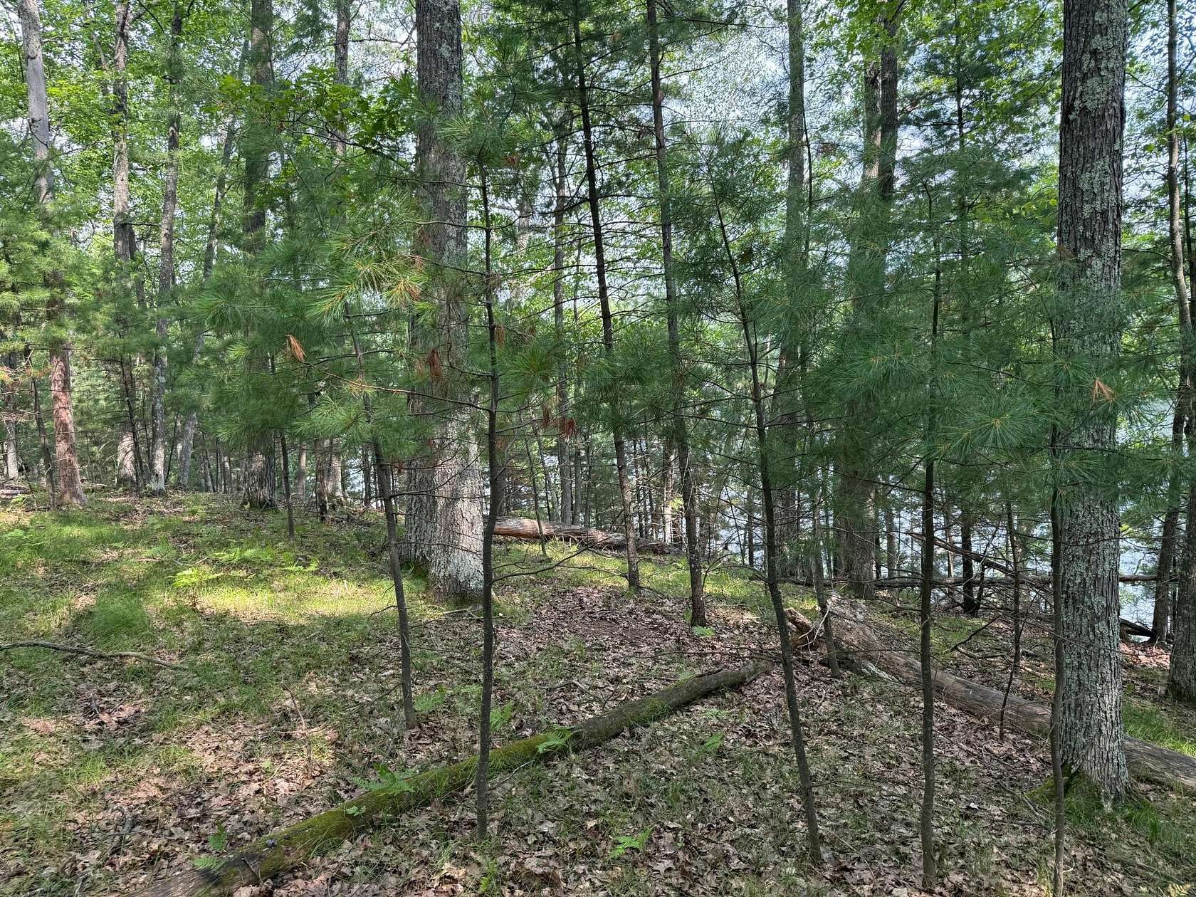 0.8 Acres of Land for Sale in Saint Germain, Wisconsin