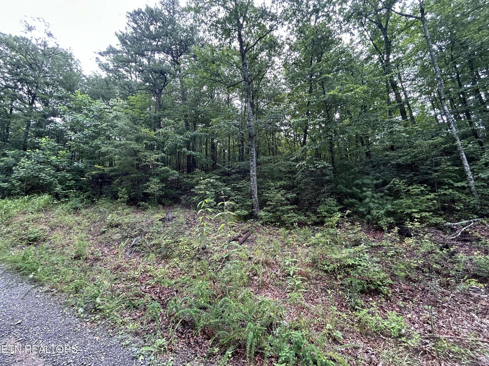 0.33 Acres of Land for Sale in Sevierville, Tennessee