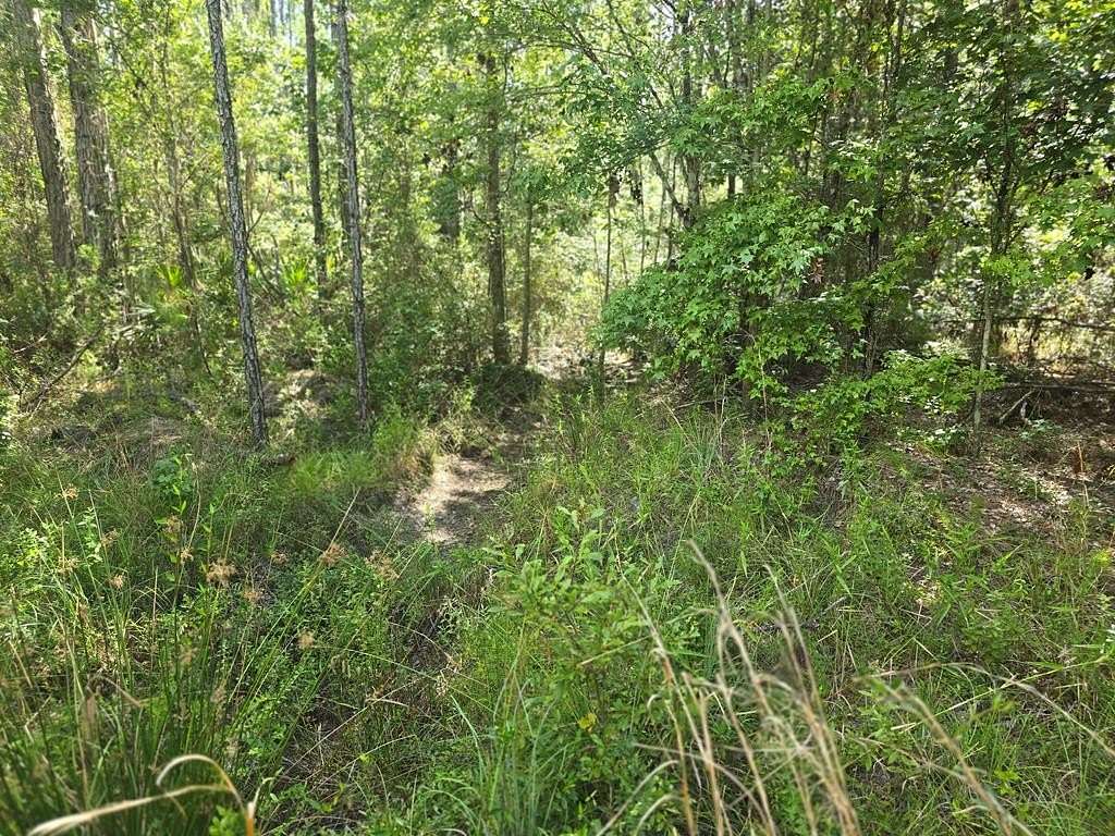 5.57 Acres of Residential Land for Sale in White Oak, Georgia