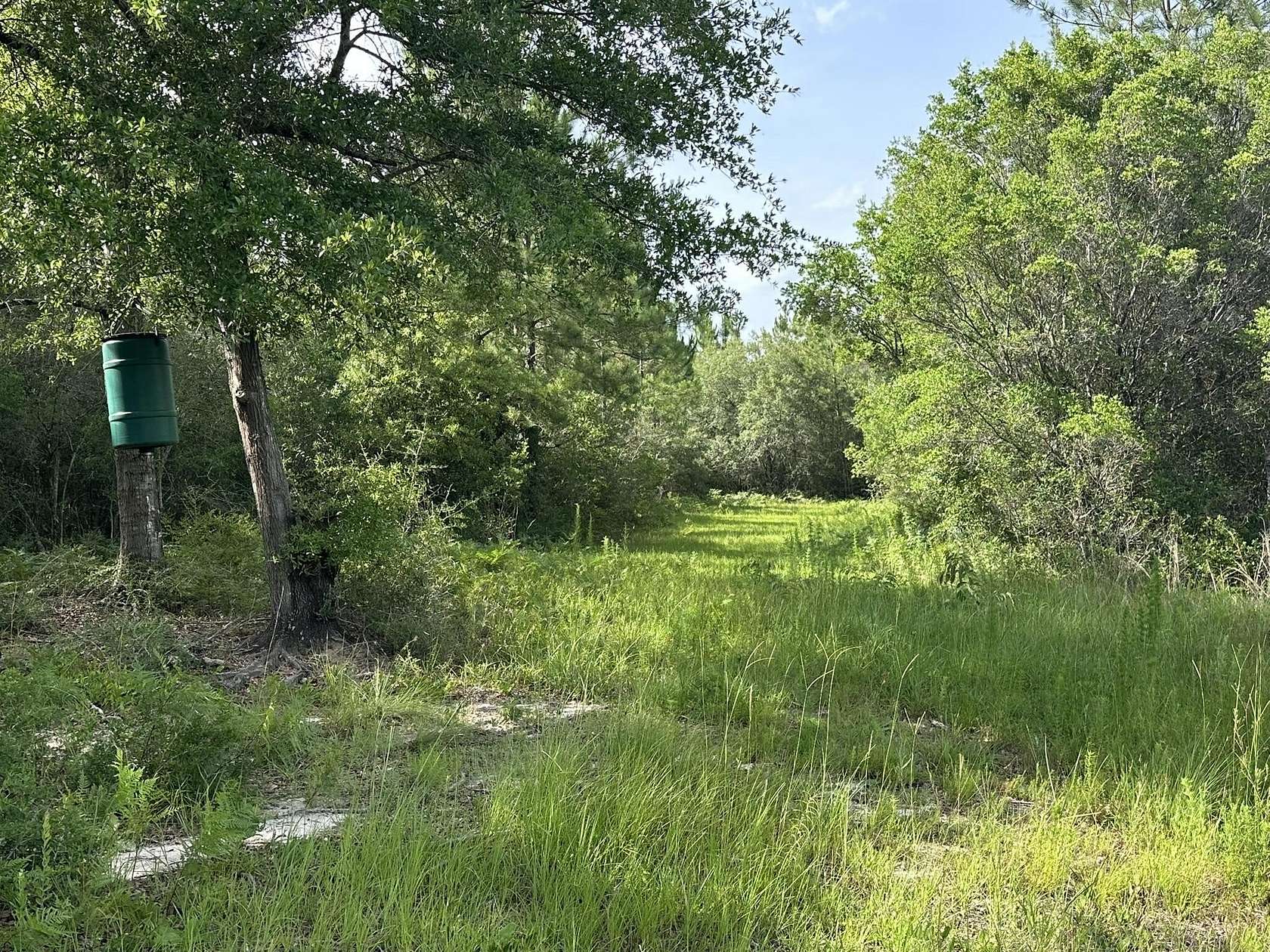 37 Acres of Recreational Land for Sale in Baker, Florida