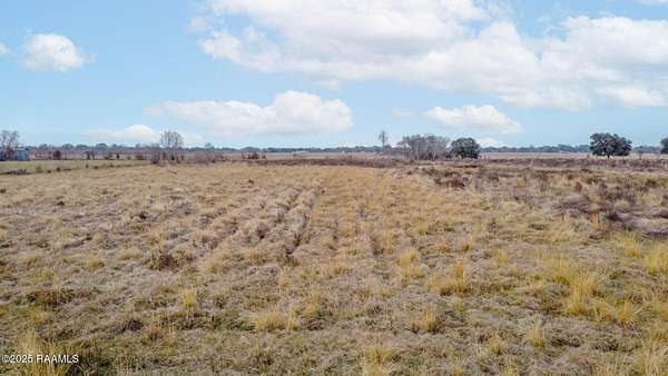 6.29 Acres of Residential Land for Sale in Maurice, Louisiana