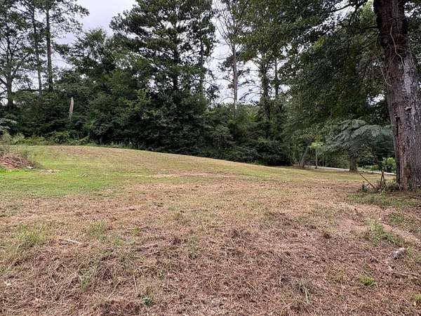 Residential Land for Sale in Jasper, Alabama