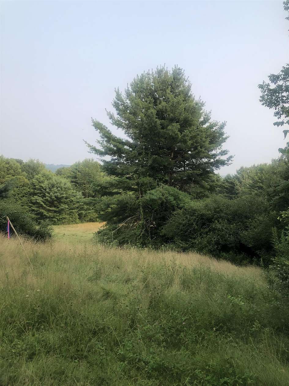 13.2 Acres of Land for Sale in Gilsum, New Hampshire