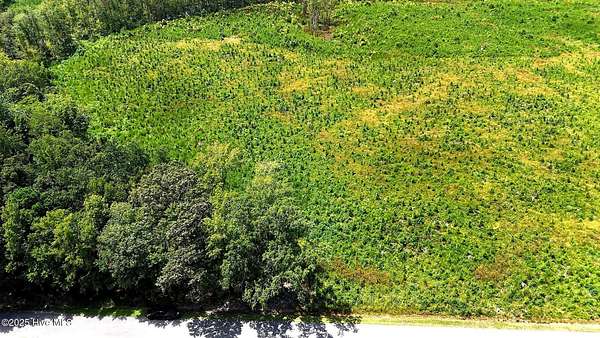 1 Acre of Land for Sale in New Hope, North Carolina