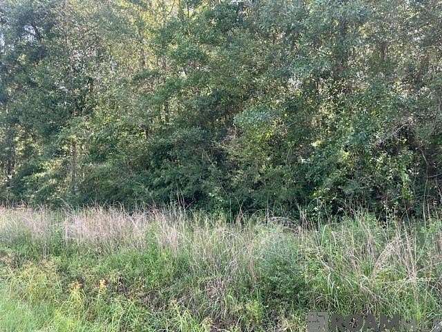 0.46 Acres of Residential Land for Sale in Abita Springs, Louisiana