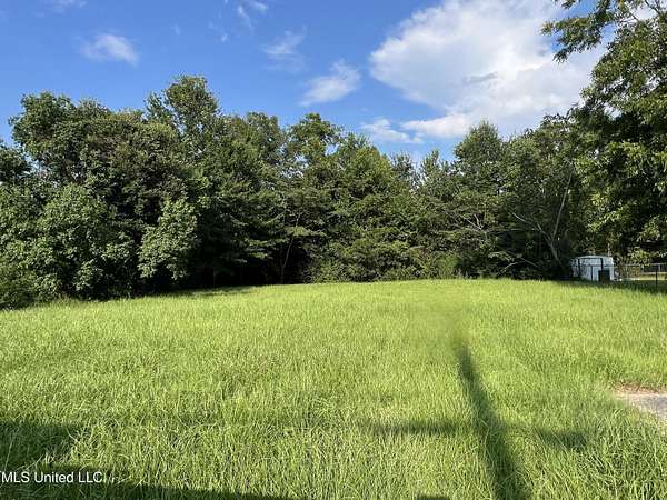 0.17 Acres of Residential Land for Sale in Wiggins, Mississippi