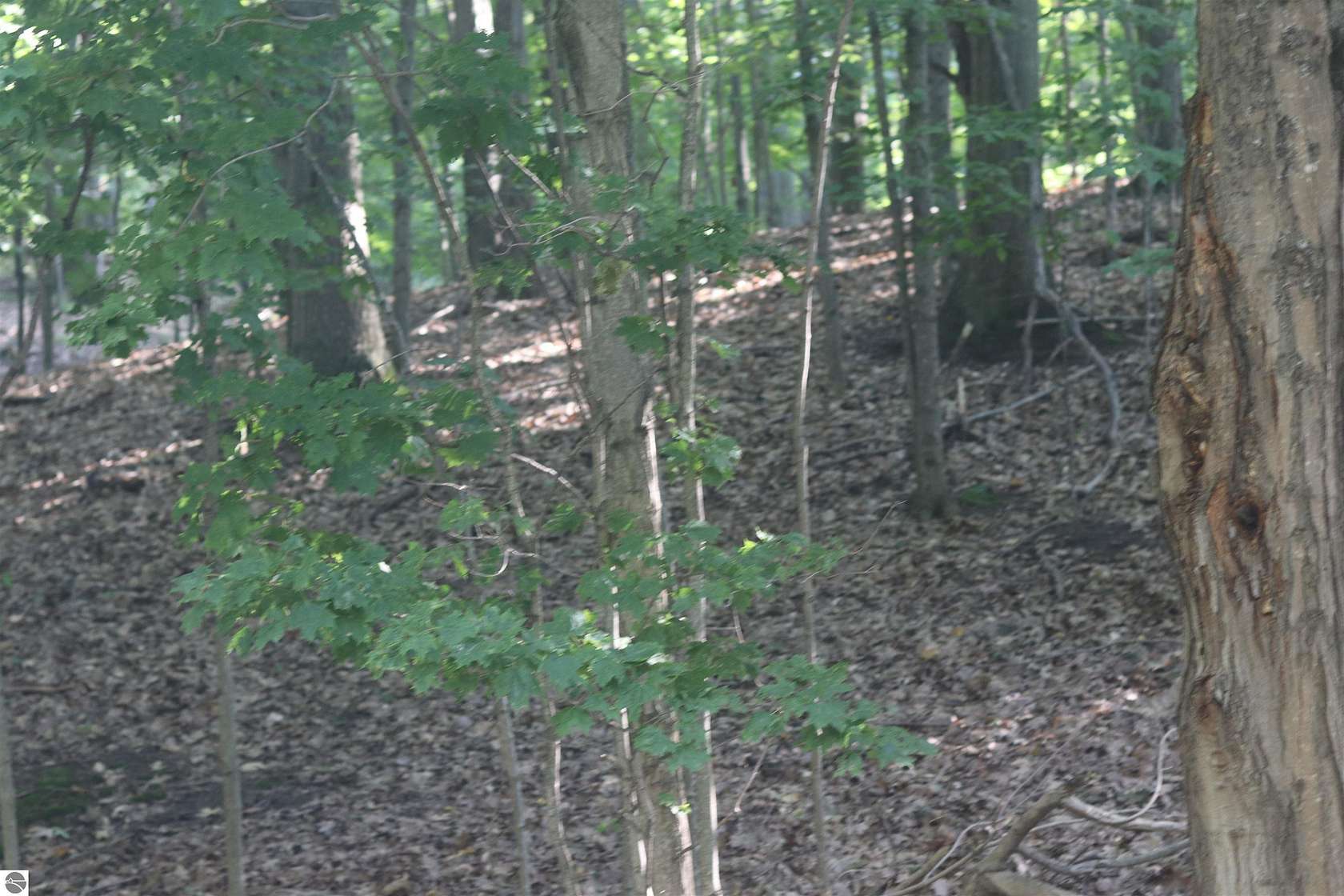 3.3 Acres of Land for Sale in Beulah, Michigan