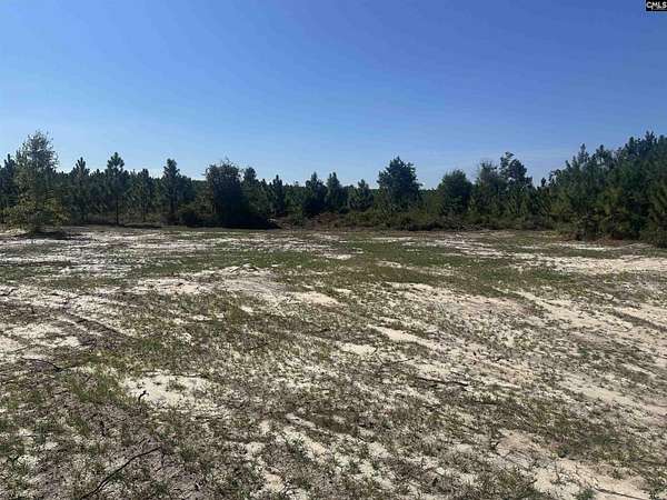 9.83 Acres of Residential Land for Sale in Cassatt, South Carolina