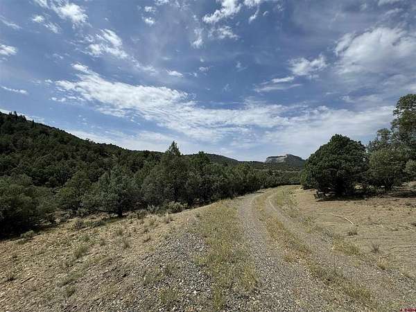 35.6 Acres of Recreational Land for Sale in Pagosa Springs, Colorado