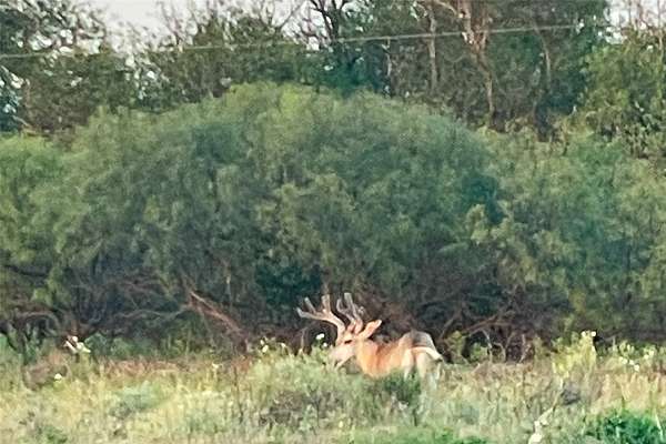 52 Acres of Land for Sale in Paducah, Texas