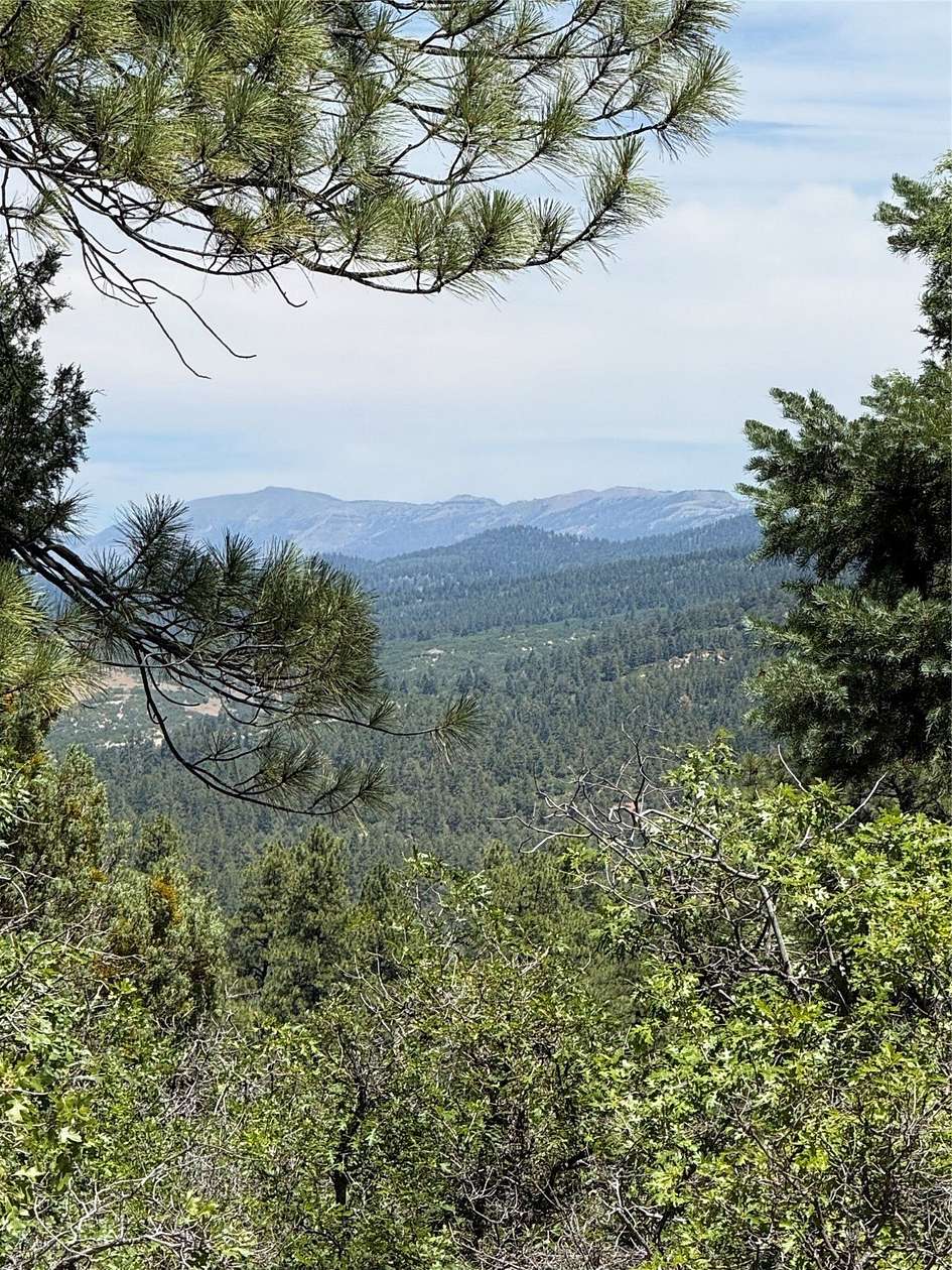 71.3 Acres of Land for Sale in Chama, New Mexico