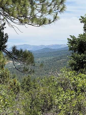 71.3 Acres of Land for Sale in Chama, New Mexico
