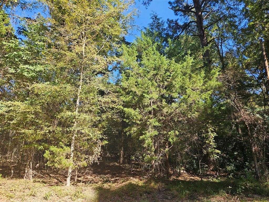 0.18 Acres of Residential Land for Sale in Bullard, Texas