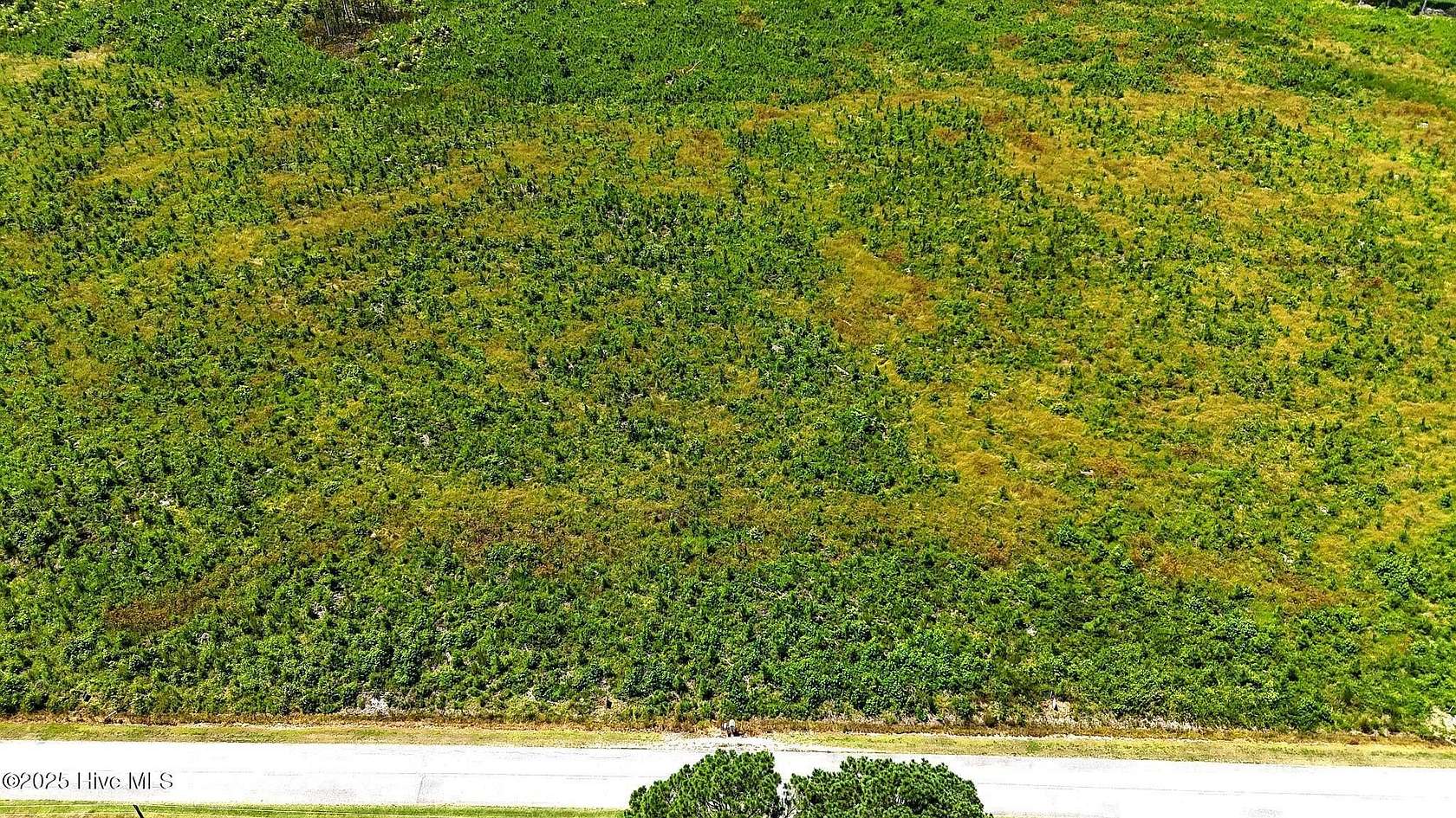 1 Acre of Land for Sale in New Hope, North Carolina