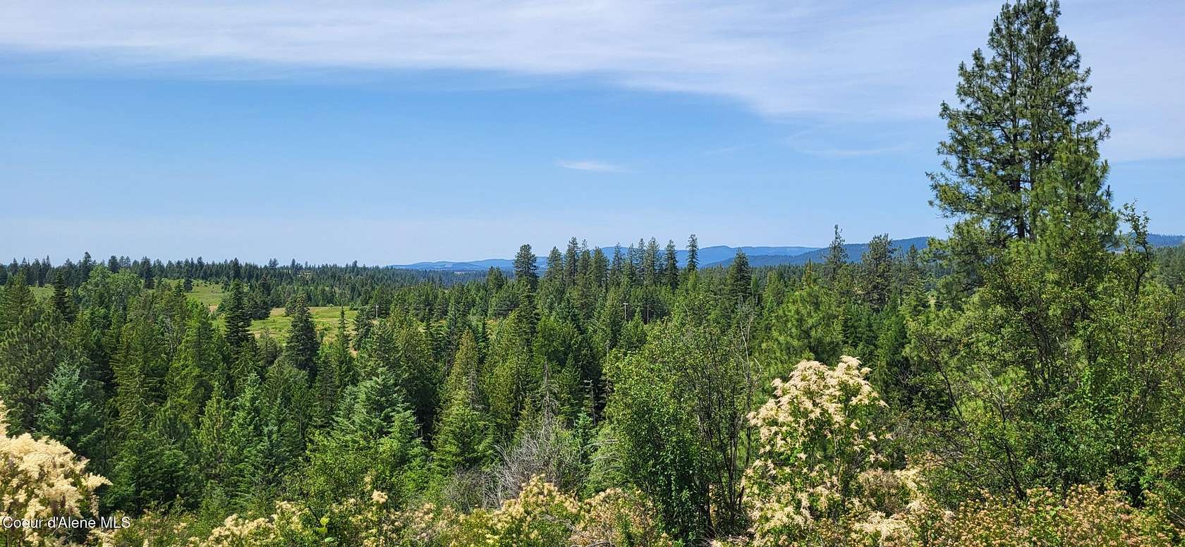 5 Acres of Land for Sale in Harrison, Idaho