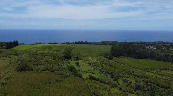 33.5 Acres of Land for Sale in Hakalau, Hawaii