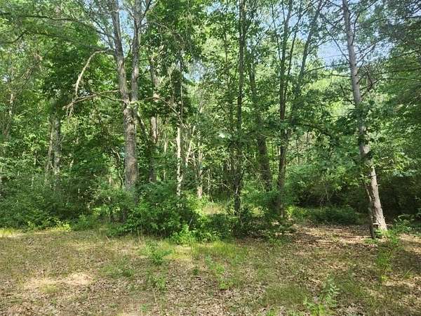 0.66 Acres of Land for Sale in Branch Township, Michigan