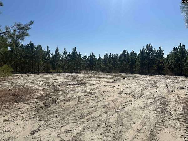 6.8 Acres of Residential Land for Sale in Cassatt, South Carolina