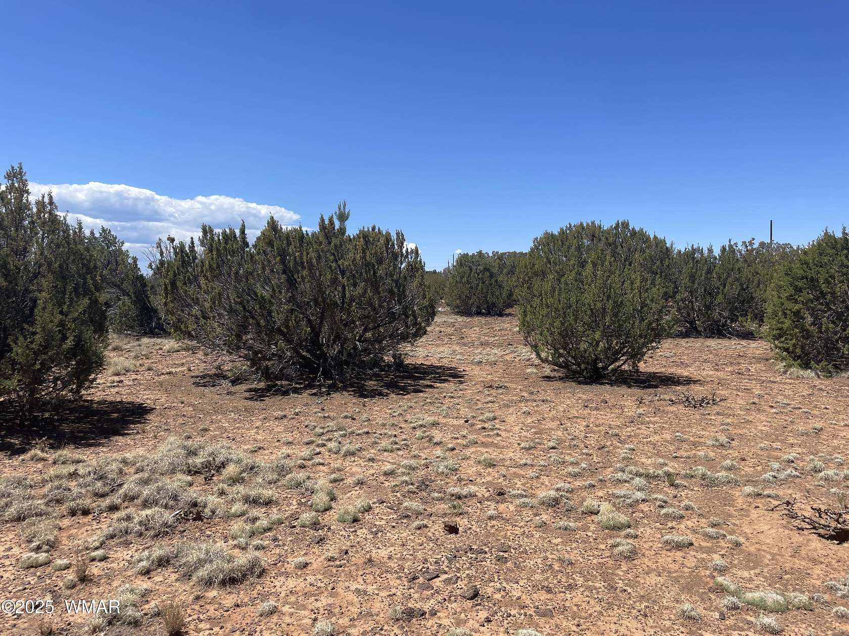 1.14 Acres of Land for Sale in Concho, Arizona