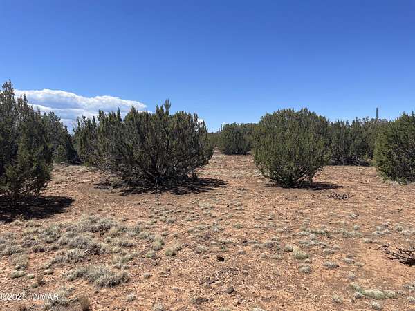1.14 Acres of Land for Sale in Concho, Arizona