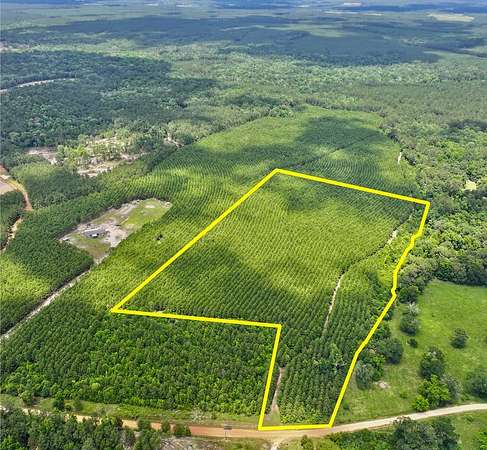 20.1 Acres of Recreational Land for Sale in Livingston, Texas
